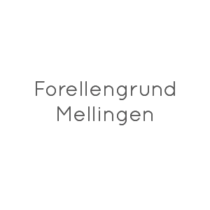 Forellengrund Mellingen